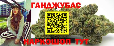 трава Гатчина