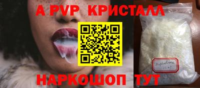 спиды Гай