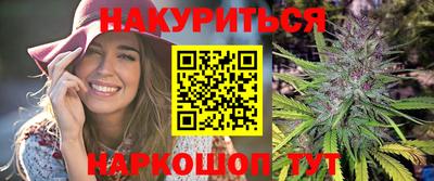 спиды Гай