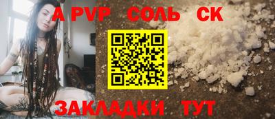 спиды Гай