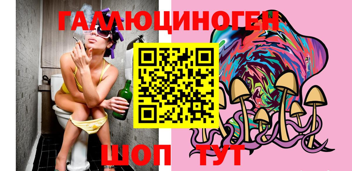 Псилоцибиновые грибы Psilocybe  Вход с VPN  Муравленко 