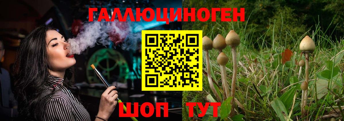 Псилоцибиновые грибы Magic Shrooms Муравленко